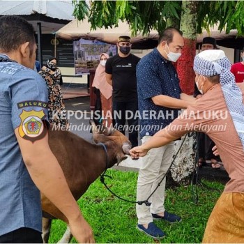 SPN Polda Maluku Berbagi Hewan Kurban