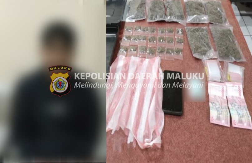 Polda Maluku Ringkus Satu Pengedar Narkoba, 28 Paket Ganja Diamankan