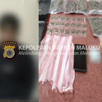 Polda Maluku Ringkus Satu Pengedar Narkoba, 28 Paket Ganja Diamankan