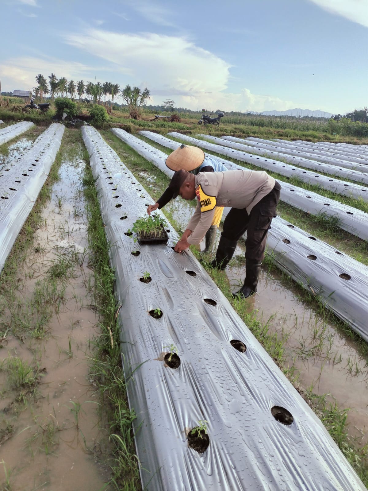 Dukung Ketahanan Pangan, Bhabinkamtibmas Desa Waisarisa Sambangi Petani di wilayah Binaan