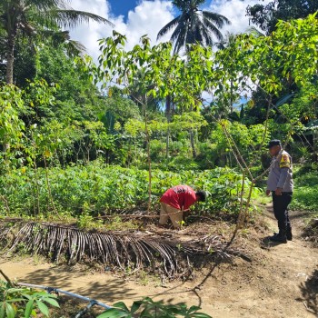 BHABINKAMTIBMAS NEGERI SOYA DORONG PEMANFAATAN LAHAN UNTUK PEKARANGAN PANGAN BERGIZI