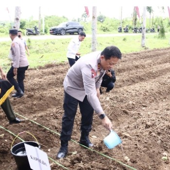 Dukung Program Ketahanan Pangan, Kapolda Maluku Pimpin Penanaman 3000 Bibit Jagung di Dusun Hulung