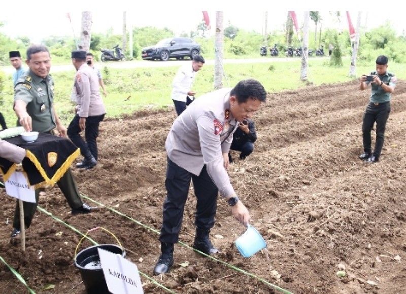 Dukung Program Ketahanan Pangan, Kapolda Maluku Pimpin Penanaman 3000 Bibit Jagung di Dusun Hulung