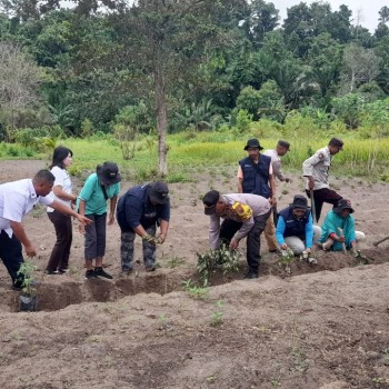 Polsek Taniwel Timur Dukung Ketahanan Pangan Lokal