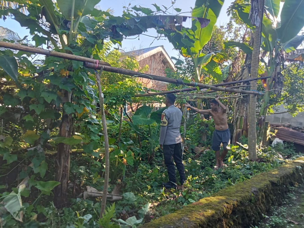 Kunjungan Bhabinkamtibmas ke Pekarangan Pangan Bergizi pada KTN 