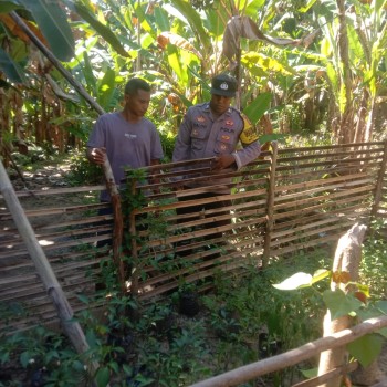 Bhabinkamtibmas Negeri Hukurila Monitoring Kampung Tangguh Nusantara 