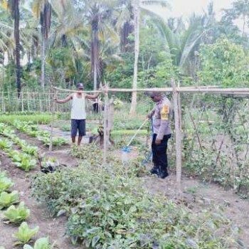 Bhabinkamtibmas Desa Wakpapapi Ajak Masyarakat Untuk Dukung Program Ketahanan Pangan